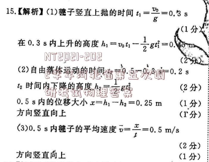 image.png@!test