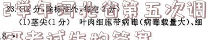 image.png@!test