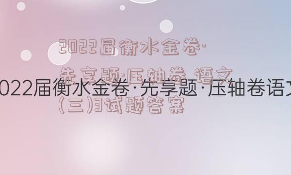 2022届衡水金卷·先享题·压轴卷 语文(三)3试题答案