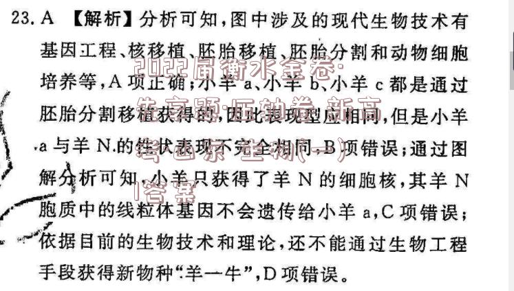 image.png@!test