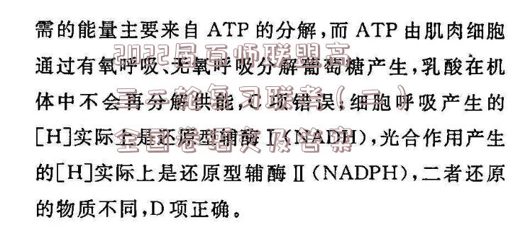 image.png@!test