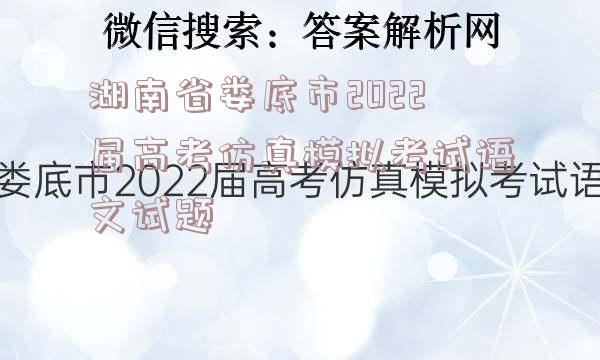 湖南省娄底市2022届高考仿真模拟考试语文试题