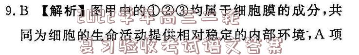 image.png@!test