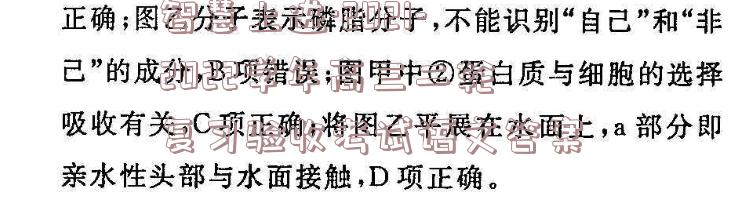 image.png@!test