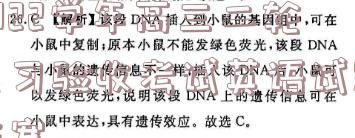 image.png@!test