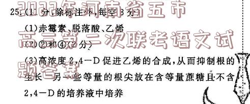 image.png@!test
