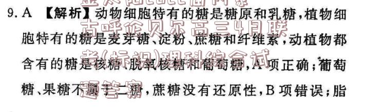 image.png@!test