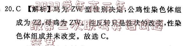 image.png@!test