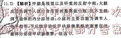image.png@!test