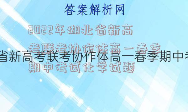 2022年湖北省新高考联考协作体高一春季期中考试化学试题