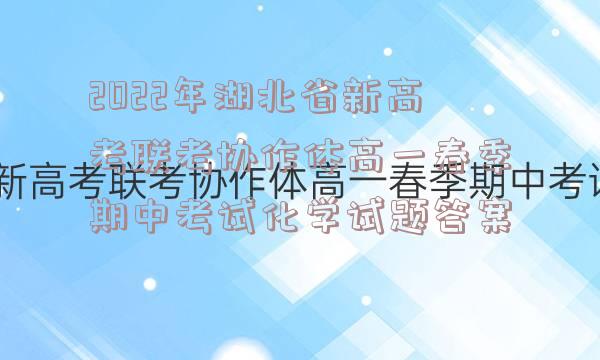 2022年湖北省新高考联考协作体高一春季期中考试化学试题答案