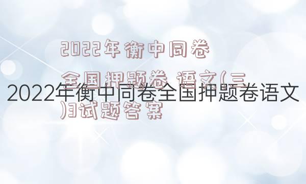 2022年衡中同卷 全国押题卷 语文(三)3试题答案