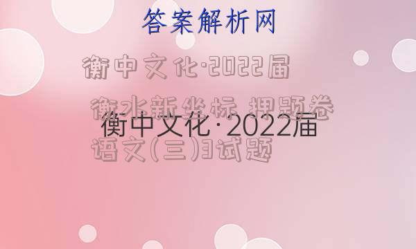 衡中文化·2022届 衡水新坐标 押题卷 语文(三)3试题