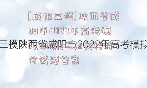 [咸阳三模]陕西省咸阳市2022年高考模拟检测(三)3文科综合试题答案