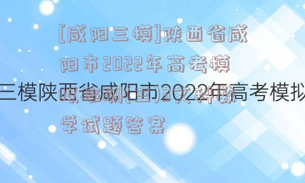 [咸阳三模]陕西省咸阳市2022年高考模拟检测(三)3文科数学试题答案