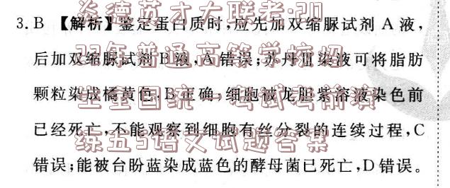 image.png@!test
