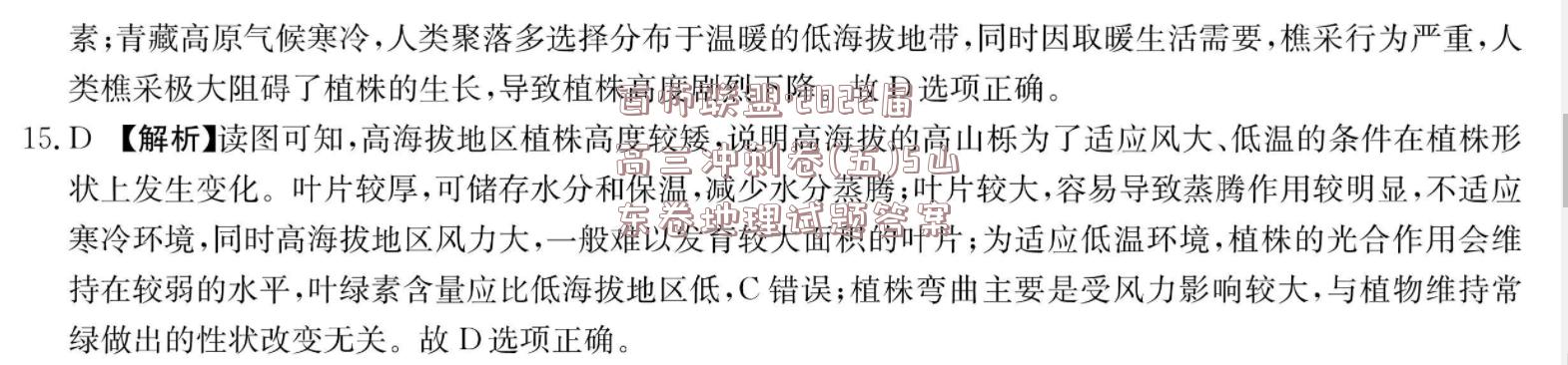 image.png@!test
