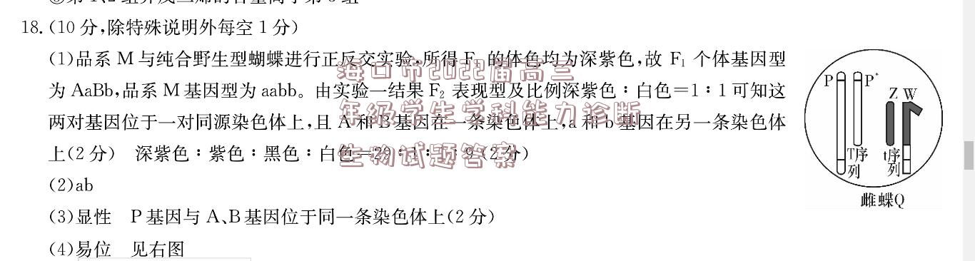 image.png@!test
