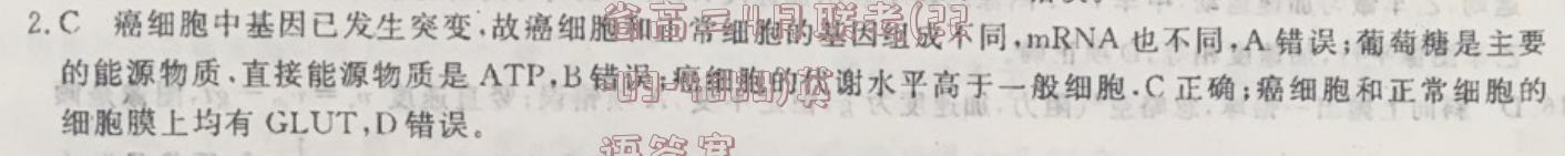 image.png@!test