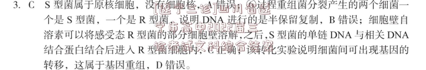 image.png@!test