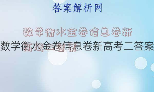 数学衡水金卷信息卷新高考二答案